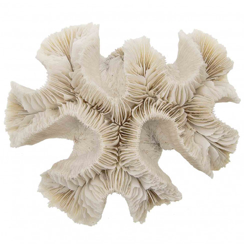 Bloc de corail fleur - 349 grammes