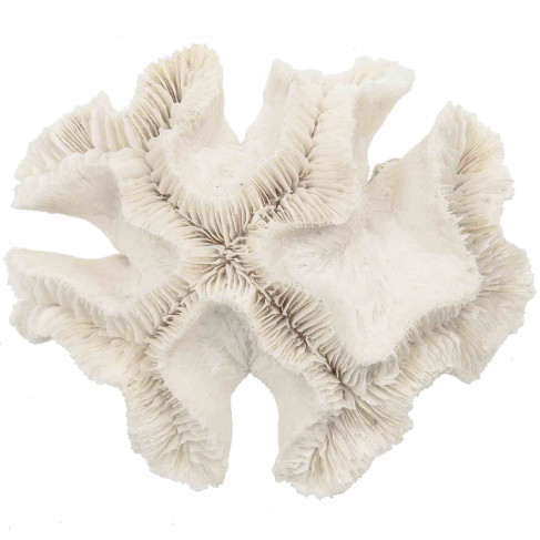 Bloc de corail fleur - 356 grammes