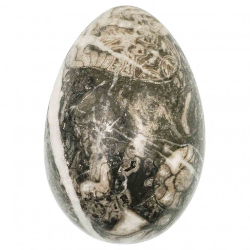 Oeuf avec ammonites fossilisées - 8 cm