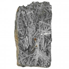 Plaque de graptolites fossiles - 86 grammes