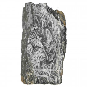 Plaque de graptolites fossiles - 86 grammes