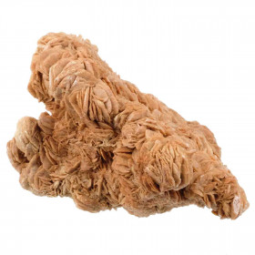 Grosse rose des sables - 3.9 kg