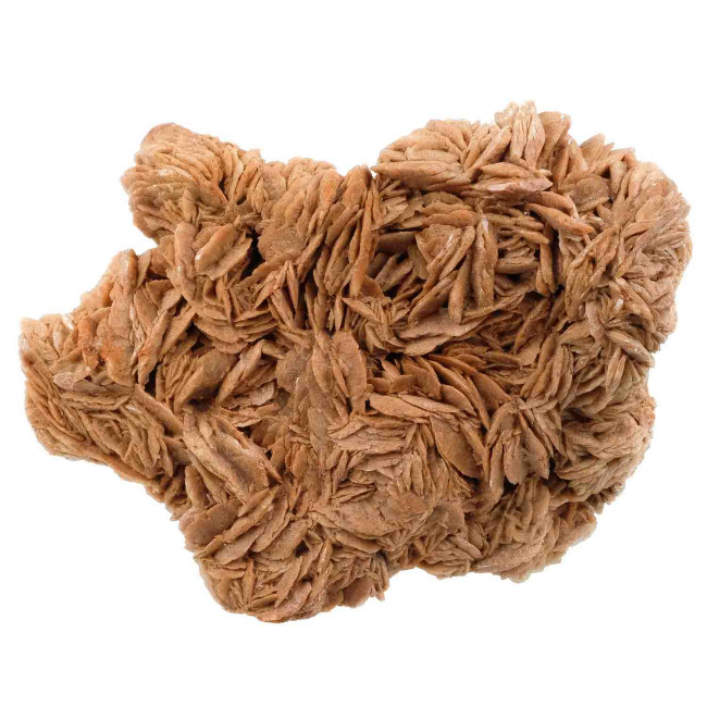 Grosse rose des sables - 3.9 kg