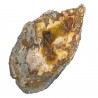 Tranche de bois fossile - 329 grammes
