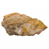 Tranche de bois fossile - 802 grammes