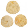 Lot de 3 oursins fossiles scutella - 6.5 à 7.5 cm