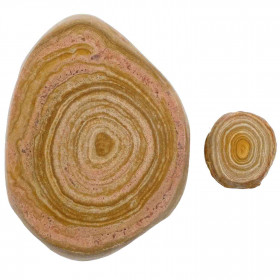 Stromatolithes fossiles sciés - Lot de 2 - 2.5 à 8.5 cm