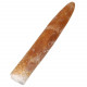 Rostre de bélemnite fossile - 10.5 cm
