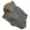 Fougère et fleur fossile sur gangue (recto-verso) - 140 grammes