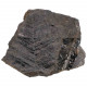 Fougère fossile sur gangue - 786 grammes