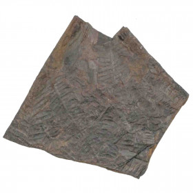 Fougère fossile sur gangue (recto-verso) - 132 grammes