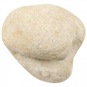 Coquillage porambonite fossile - 199 grammes