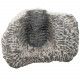 Fossile trilobite sur gangue - 210 grammes