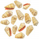 Coquillage strombus luhuanus - 4 à 6 cm - Lot de 10