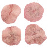 Corail fungia fungites rose