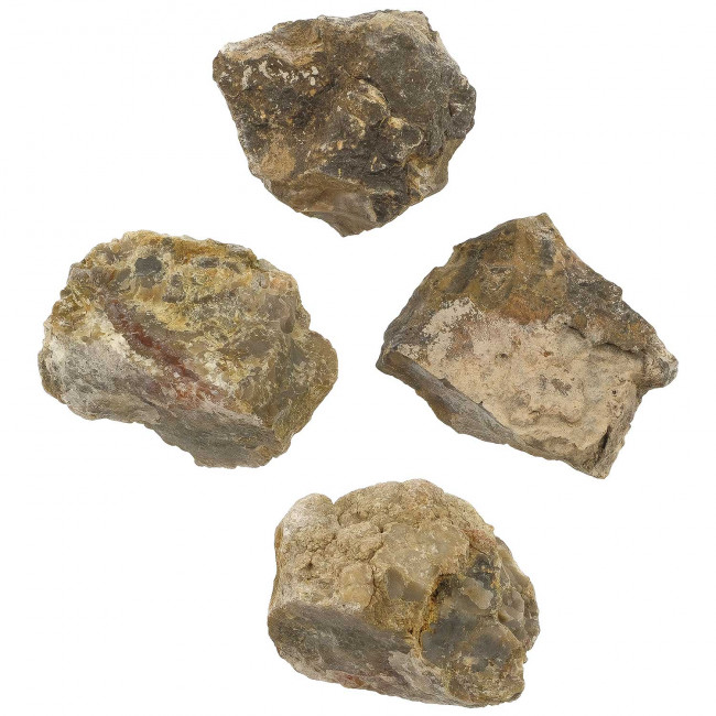 Coprolithe de dinosaure roulé - 4 à 5 cm