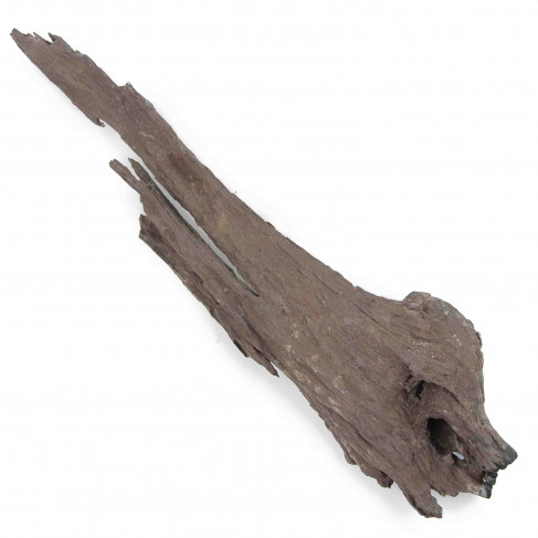 Bois flotté brun déco - 43 cm - Pièce unique