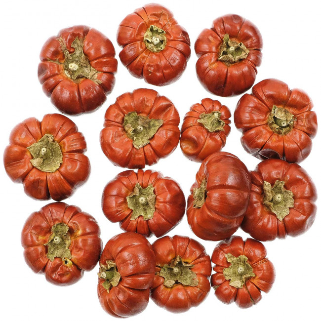 Mini potirons séchées décoratifs - 100 grammes