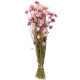 Bouquet fleurs séchées acroclinium rose - 60 cm