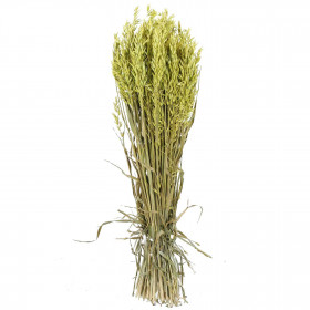 Bouquet fleurs séchées avoine vert clair - 70 cm
