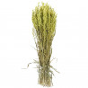 Bouquet fleurs séchées avoine vert clair - 70 cm