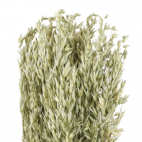 Bouquet fleurs séchées avoine naturel - 70 cm