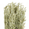 Bouquet fleurs séchées avoine naturel - 70 cm