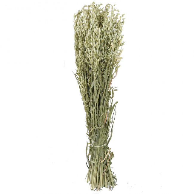 Bouquet fleurs séchées avoine naturel - 70 cm