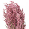 Bouquet fleurs séchées avoine rose - 70 cm