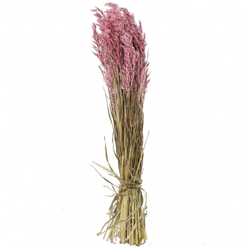 Bouquet fleurs séchées avoine rose - 70 cm
