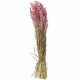 Bouquet fleurs séchées avoine rose - 70 cm