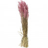 Bouquet fleurs séchées avoine rose - 70 cm
