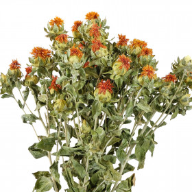 Bouquet fleurs séchées carthamus - 55 cm