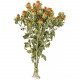Bouquet fleurs séchées carthamus - 55 cm
