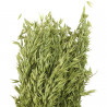 Bouquet fleurs séchées avoine vert - 70 cm