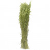 Bouquet fleurs séchées avoine vert - 70 cm
