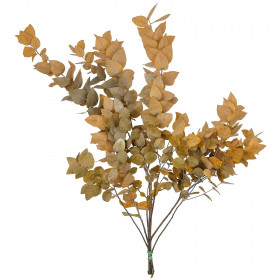 Feuillage d'eucalyptus stuartiana jaune stabilisé - 65 cm