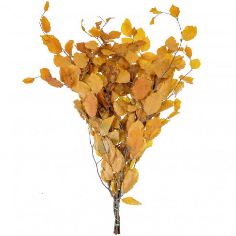 Feuillage de hêtre jaune stabilisé - 80 cm