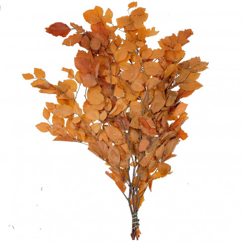 Feuillage de hêtre orange stabilisé - 90 cm