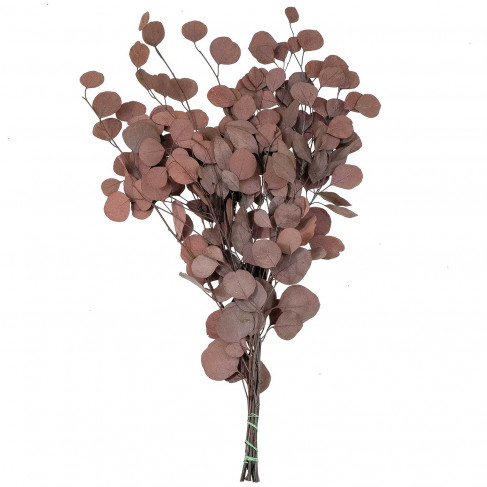 Feuillage d'eucalyptus populus rouge stabilisé - 65 cm