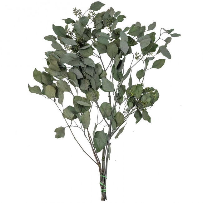 Feuillage de lierre vert stabilisé - 65 cm