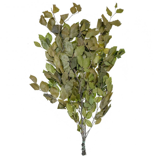 Feuillage de hêtre vert stabilisé - 90 cm