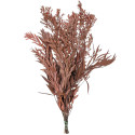 Feuillage eucalyptus nicoly rouge stabilisé - 75 cm