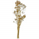 Bouquet séché aneth déco - 70 cm