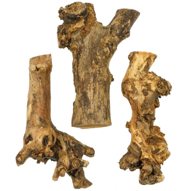 Bois de mûrier - 22 cm