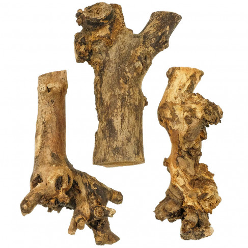 Bois de mûrier - 22 cm
