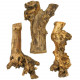 Bois de mûrier - 22 cm