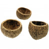 Bol ourico - 8 à 10 cm - Lot de 2