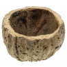 Bol ourico - 8 à 10 cm - Lot de 2