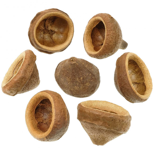 Chapeuzinho - 6 à 8 cm - Lot de 5